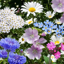 Load image into Gallery viewer, Butterfly Friendly Seedbom