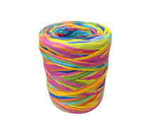 Load image into Gallery viewer, Rainbow Raffia (80m)

