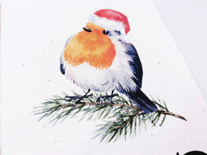 Christmas Robin 2 - Plantable Christmas Seed Card