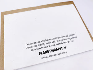 Christmas Dinosaurs - Plantable Christmas Seed Card