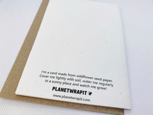Christmas Penguin - Plantable Christmas Seed Card