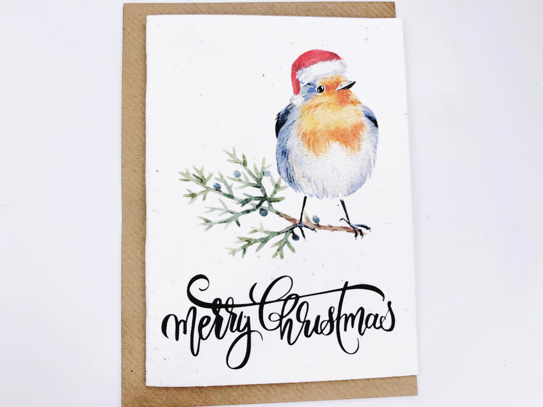 Christmas Robin 1 - Plantable Christmas Seed Card