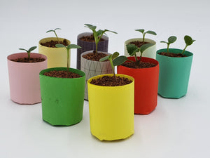 Paper Plant Pot Maker