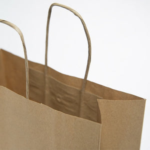 Medium Size Recycled Paper Gift Bags with Twisted Handle
