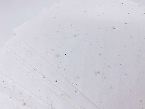A4 Sheet of Wildflower Seed Paper