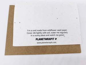 Plantable Greetings Seed Card - Dinosaur holding Cake