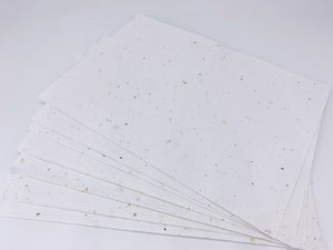 A4 Sheet of Wildflower Seed Paper