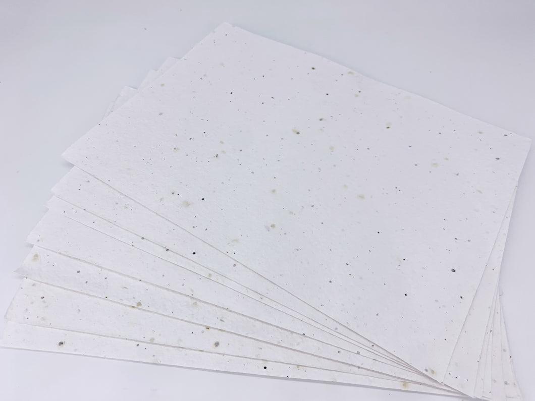 A4 Sheet of Wildflower Seed Paper