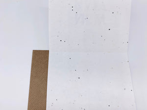 Plantable Greetings Seed Card - Football Birthday