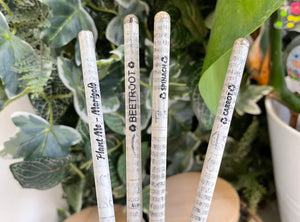Pencils you can plant - Beetroot, Spinach, Carrot.