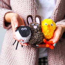 Load image into Gallery viewer, Farmyard Friends Pom Pom Craft Kit
